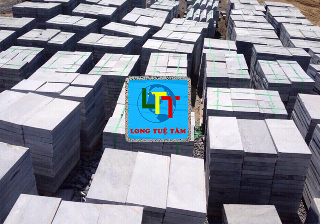 CÔNG TY TNHH LONG TUỆ TÂM